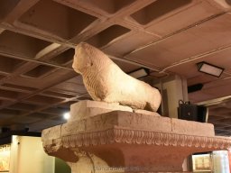 Ciudad de Elche 2022